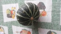 20171020_110852.jpg