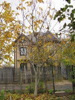 IMG_0052.JPG
