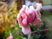 IMG_4946.JPG