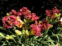 IMG_20130717_164126.jpg
