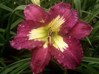 IMG_20130717_164333.jpg