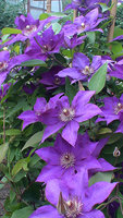 copDSC02736.jpg