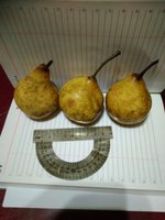 Вес груши 110 грамм.Памяти Яковлева на 26 октября.
