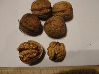 DSC05354.JPG