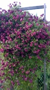 WP_20160721_017.jpg