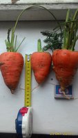 P_20171025_142755_1_p.jpg