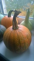 WP_20171011_005.jpg