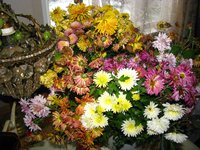IMG_4971-1.jpg
