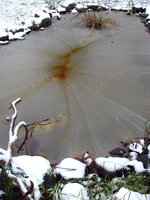 IMG_4982-1.jpg