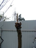 IMG_5003-1.jpg