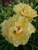IMG_20130717_184728.jpg