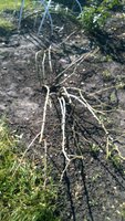 WP_20171020_029.jpg