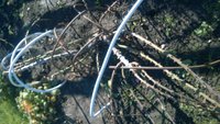 WP_20171020_019.jpg