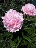 20160618_092805.jpg