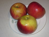 IMG_0874.JPG