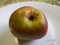 DSCN9634.JPG