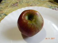 DSCN9637.JPG