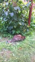 WP_20170920_002.jpg