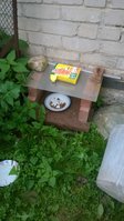 WP_20170920_001.jpg