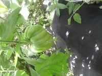 20170810_094330.jpg