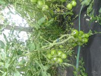 20170810_093001.jpg
