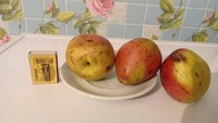 IMG_20171113_223119-1280x720.jpg