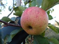 DSC06599-01.jpg