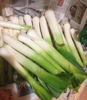 Коламбус