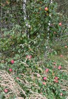 IMG_20171115_114104.jpg