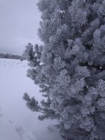 IMG_20170209_135551.jpg