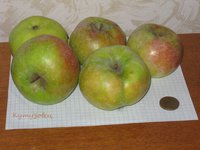 IMG_0938.JPG