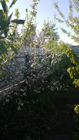 20170509_172142.jpg