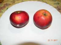 DSCN9644.JPG