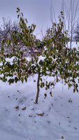 IMG_20171125_105032_HDR.jpg