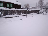 персики пригнутые под снегом ноябрь 2017.jpg