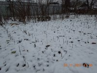 DSCN6466.JPG