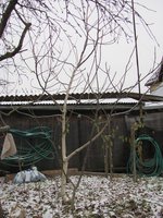 IMG_0005.JPG