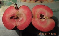 DSCN6488.JPG