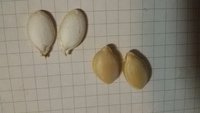 20171202_191343.jpg
