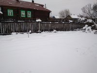 персики под снегом 2017.jpg