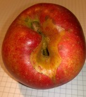 WP_20171203_18_35_06_Pro.jpg