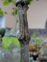 DSC05289.JPG