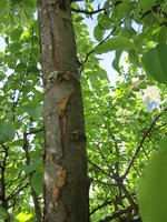IMG_3450.JPG
