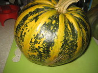 IMG_4417.JPG
