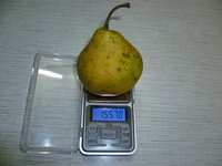 Бере Зимняя Мичурина 05,12,17г..jpg