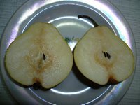 Бере Зимняя Мичурина в разрезе 05,12,17г,.jpg