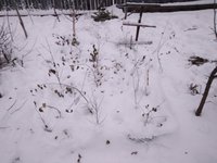 IMG_20171126_154956.jpg