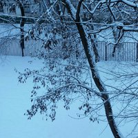 20171207_085121-1-1-1.jpg