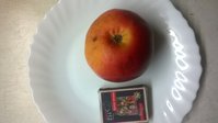WP_20171206_001.jpg