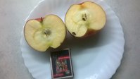 WP_20171206_002.jpg